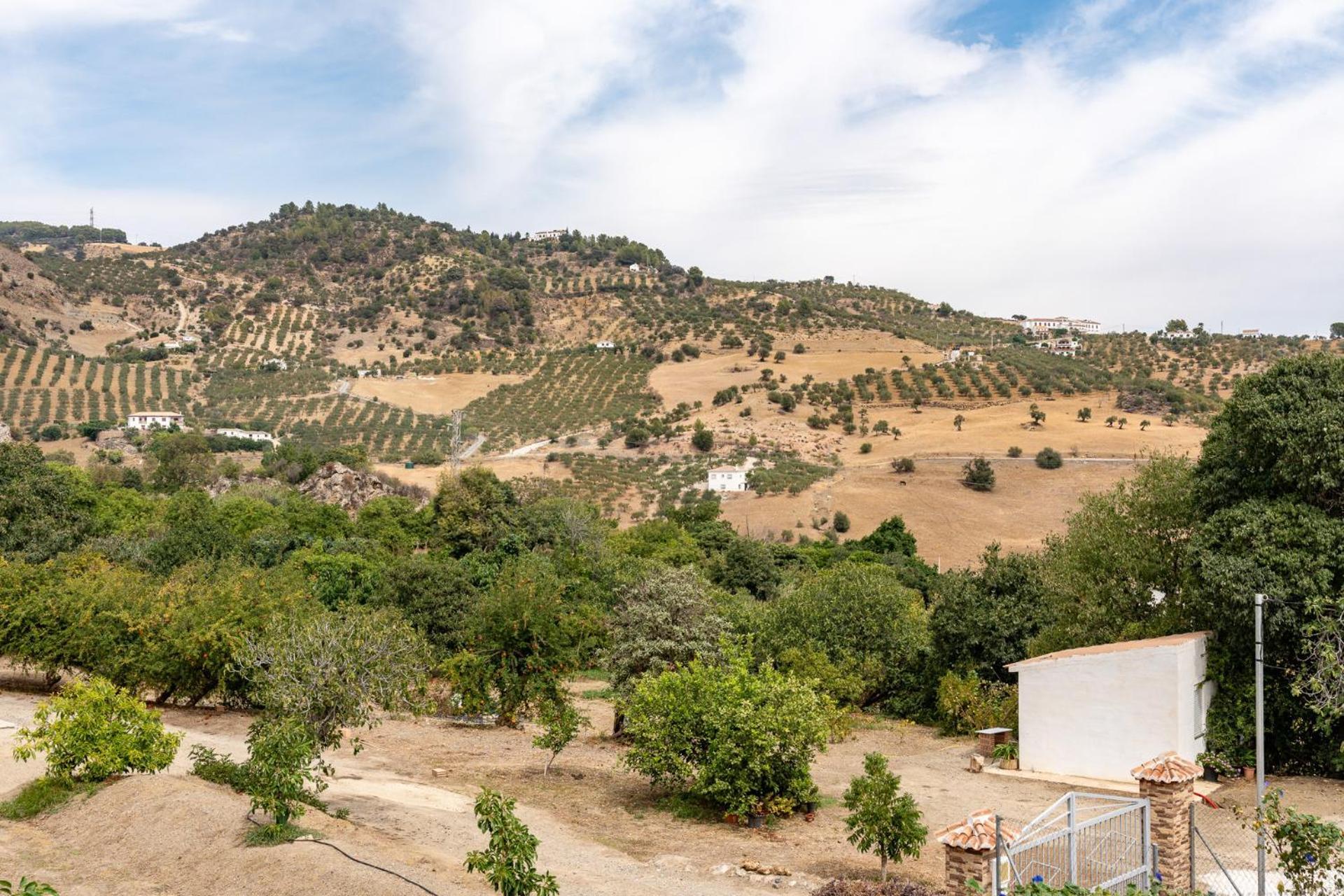 Malagasuite Cortijo Robles Casarabonela Exterior foto