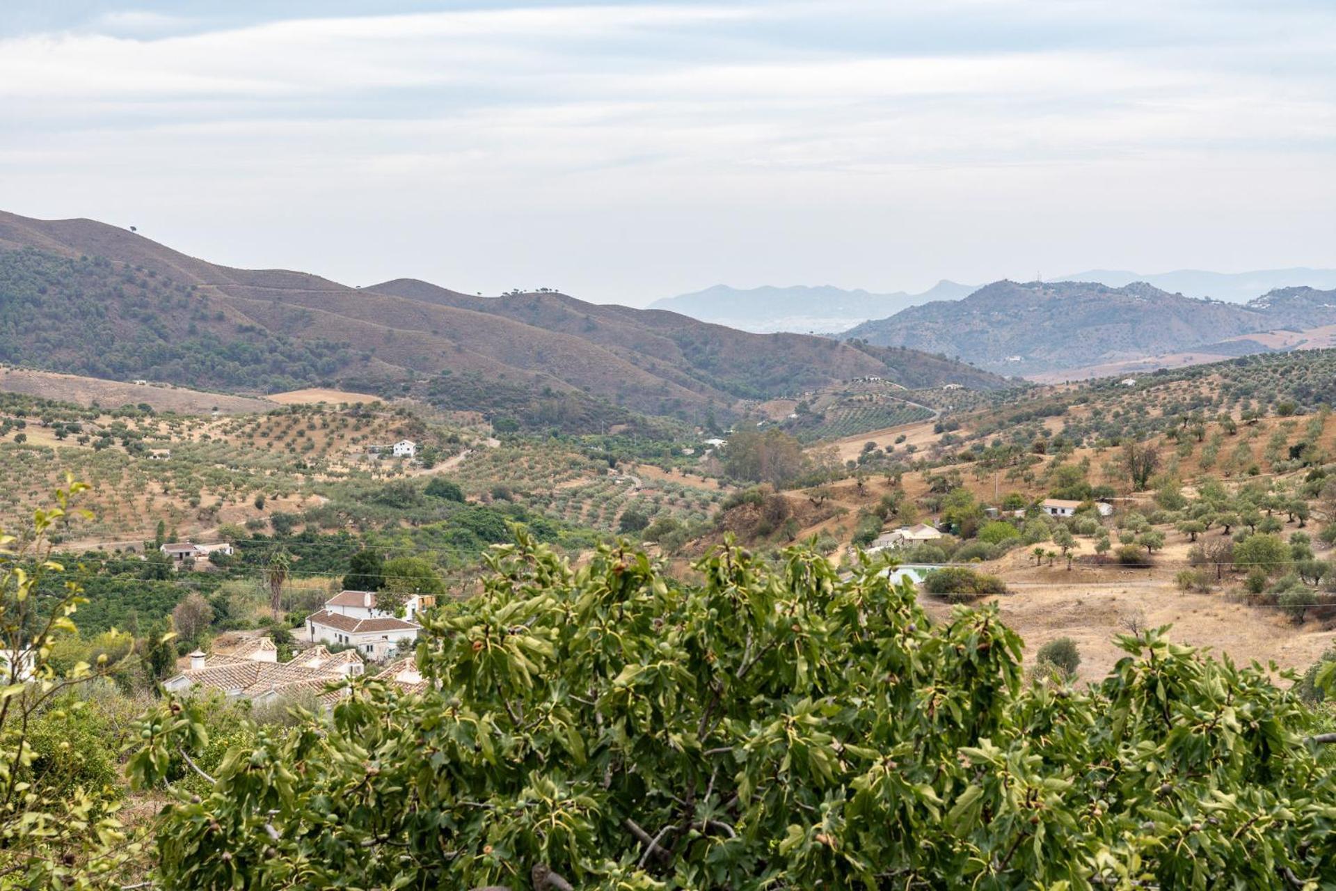 Malagasuite Cortijo Robles Casarabonela Exterior foto